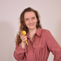 DSC 0093
